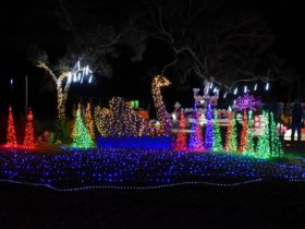 Christmas Wonderland, over 250 metres of amazing illuminated displayof ama