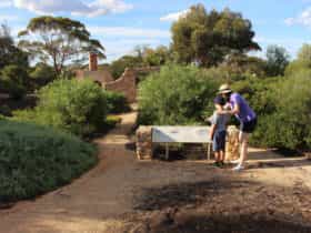 Conservation and heritage walk
