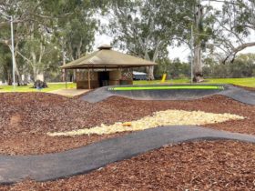 The Loxton Pump Track is located within the Lions Park on the banks of the Murray River.