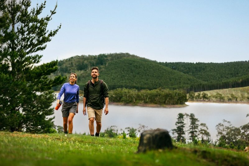 More than 13km of walking/running trails let you explore Mount Bold Reservoir Reserve