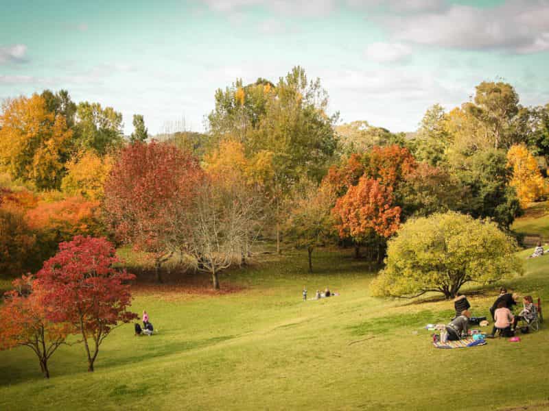 Mount Lofty Botanic Garden in autumn is one of the Adelaide Hills' most iconic sights.