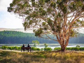 Relax and unwind at Myponga Reservoir Reserve