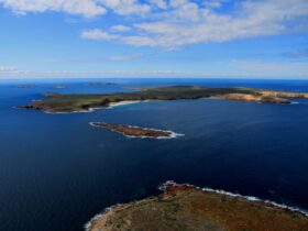 Nuyts Archipelago Conservation Park