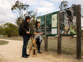 A man and woman stand with their dog at a trailhead signage, reading information about the park.