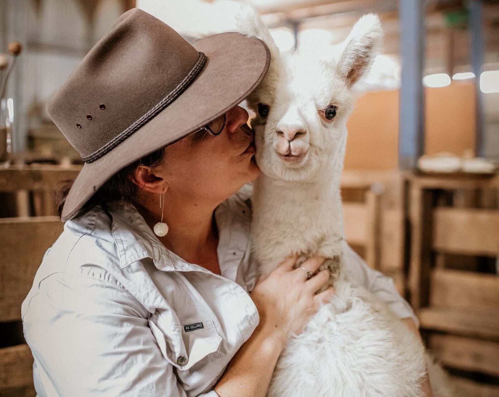 If you are really lucky you might be able to get a kiss from one of our friendly alpacas