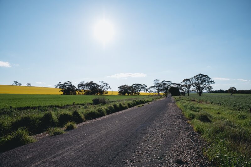 Rattler Trail in Spring, Clare Valley