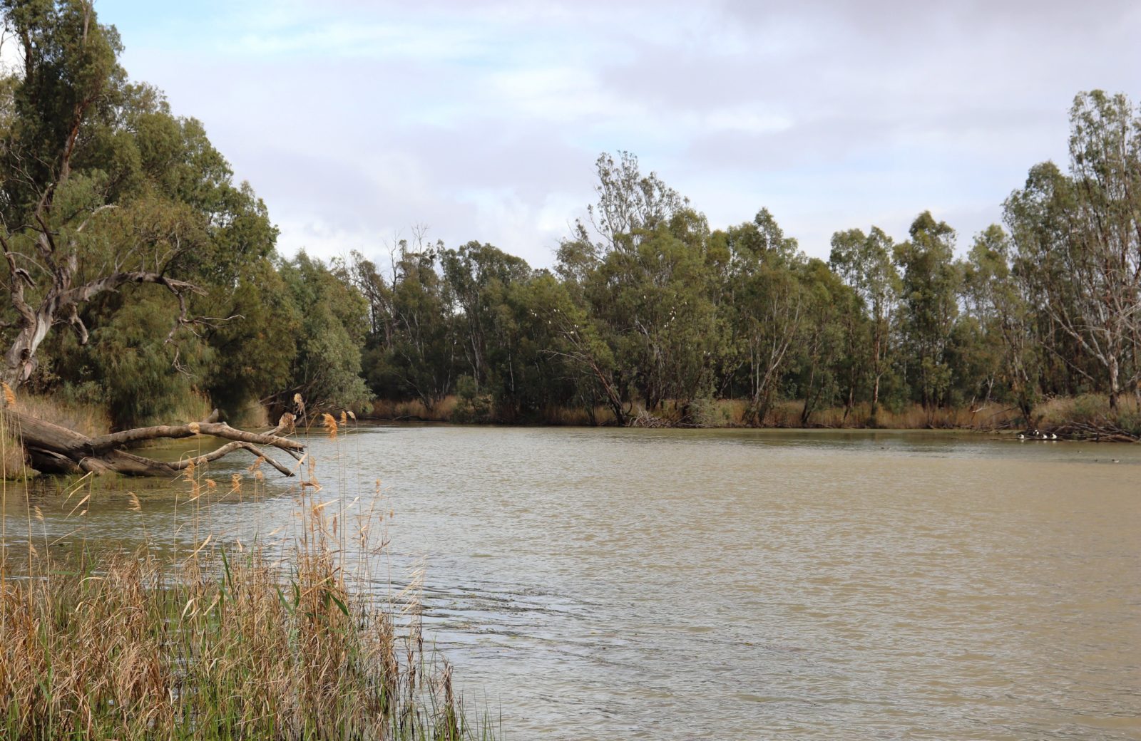The Reserve is popular spot for camping and river activities.