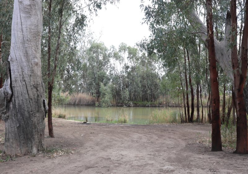 Rilli Reserve has a number of free riverfront campsites.