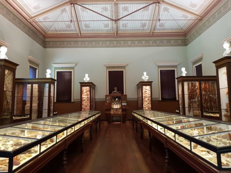 Inside the Santos Museum of Economic Botany