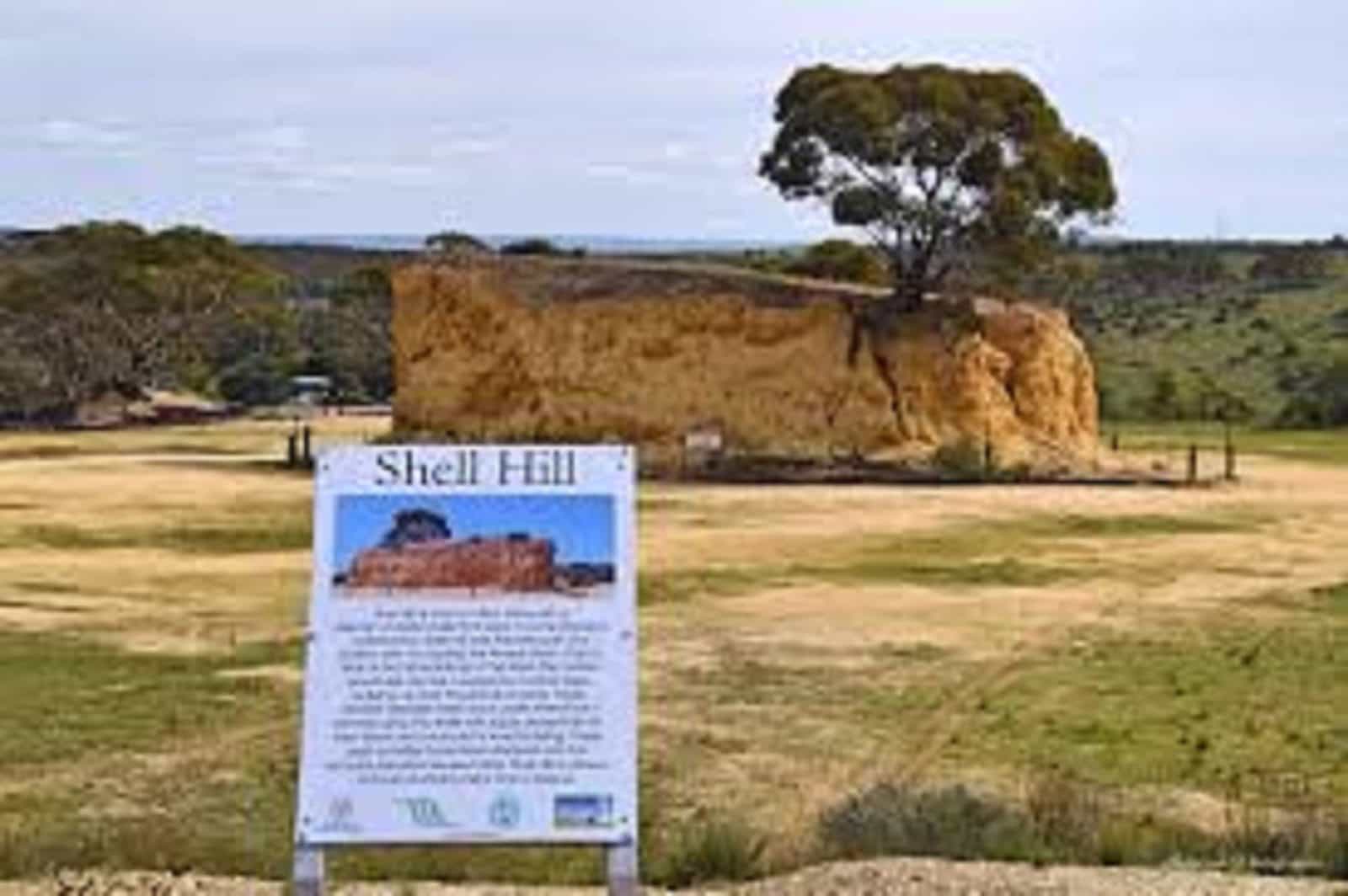 shell hill