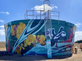 Water Tank covered in mural of local birdlife. Access ladder visible.