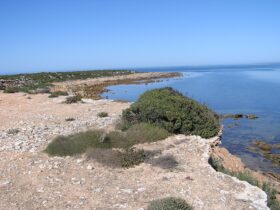 A section of coastline in Wittelbee Conservation Park