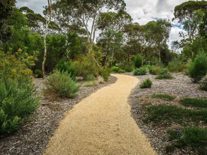 Join a free guided walk at Wittunga Botanic Garden every Tuesday.