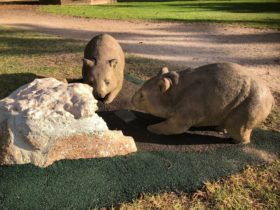 Wombat Statues, Moonta