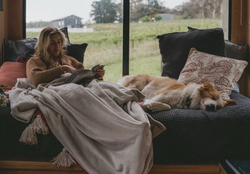 Cosy getaway for people and their pet dog at CABN Jude McLaren Vale