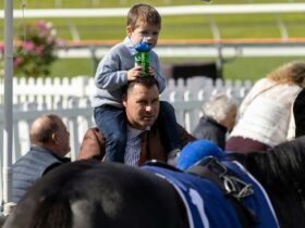 Boy sits on fathers shoulders watching a horse pass