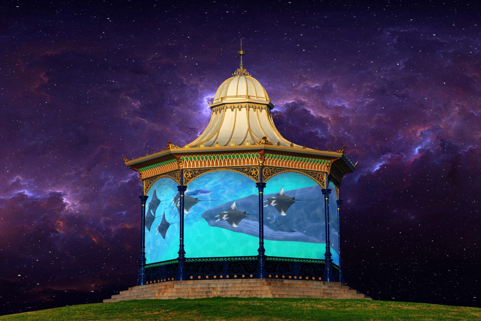 Swim amongst virtual whales and stingrays in the Elder Park rotunda at Aus Lights on the River.