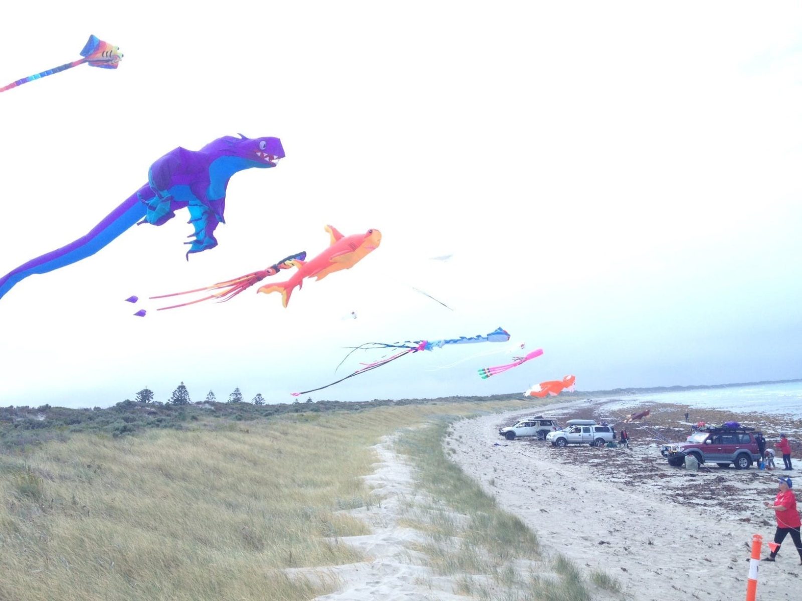 Giant Kites Surf Beach