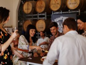 a group of wine tasters eating and drinking in cellar door