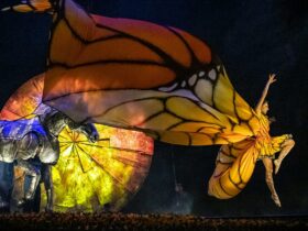 A performer leaps across the stage in a bright yellow and orange butterfly costume.