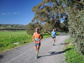 Great Southern Half Marathon - Aldinga Scrub