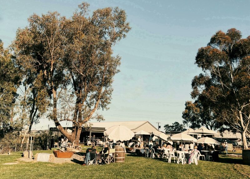 People on the lawn for an event on the lawn at Hill River Clare Estate Cellar Door