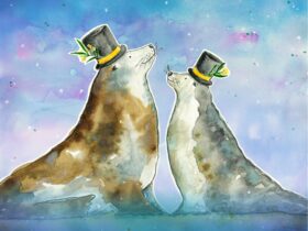 Australian Sea lions with carnival top hats