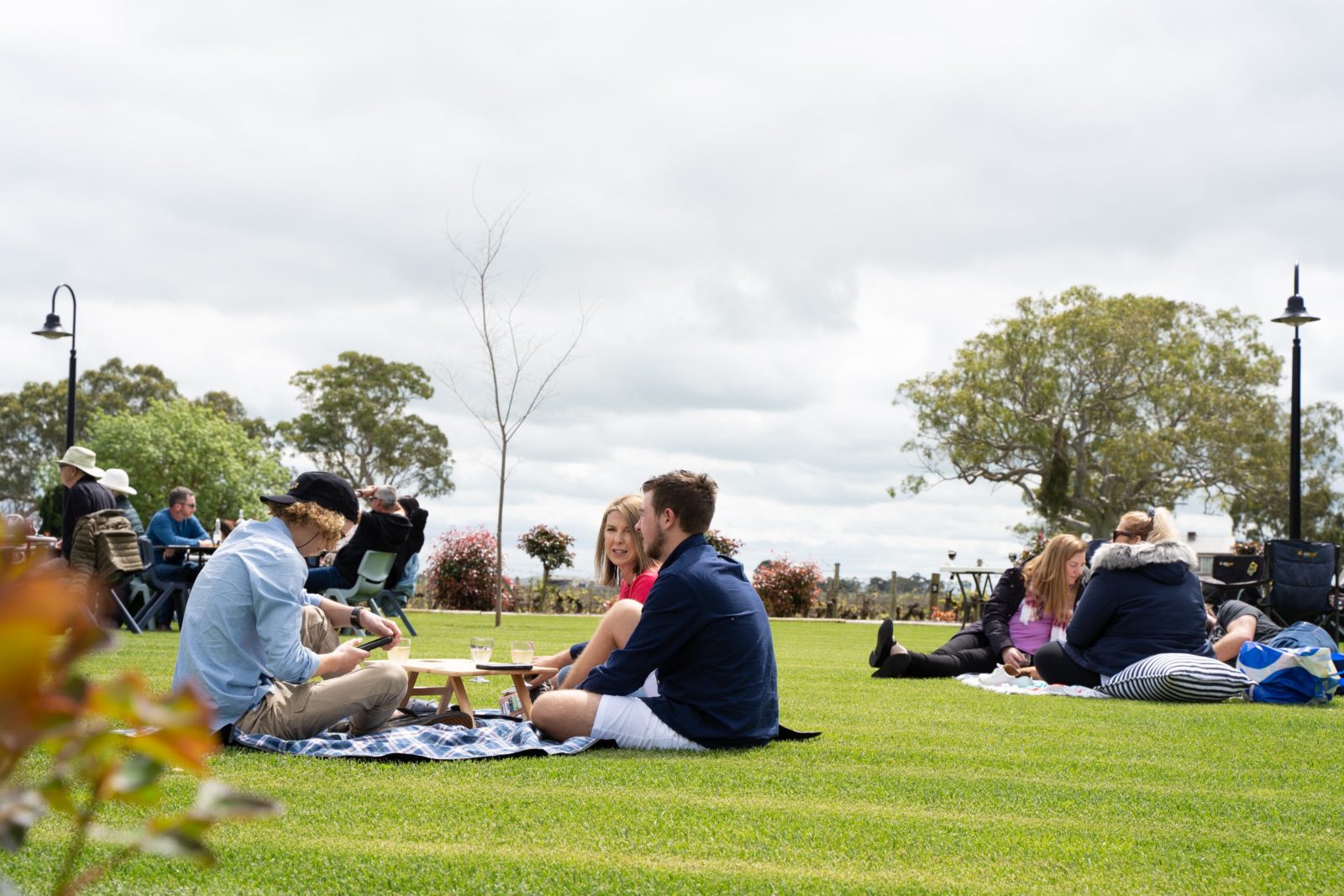 Relax on New Years Day at Leconfield Coonawarra