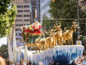 Father Christmas waving to the crowd at the National Pharmacies Christmas Pageant