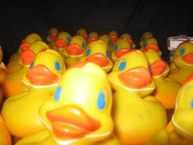 Little Rubber Ducks excited about racing in the Pt Broughton annual rubber duck race.