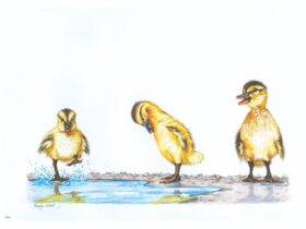 Wendy Neals painting of 3 Ducks