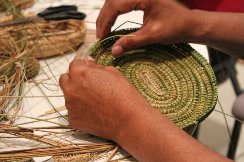 A close up photo of someone weaving dried rushes using a Ngarrindjeri Aboriginal weaving technique