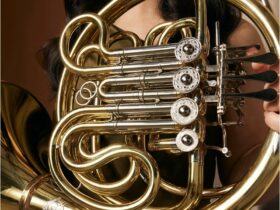 Close up of a french horn showing the keys