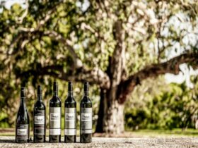 Wynns Coonawarra Estate Premium Wines