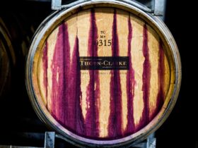 Vineyard to Bottle: A Behind The Scenes Winemaking Tour