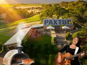 Sunday Sessions in the Pavilion at Paxton Wines McLaren Vale