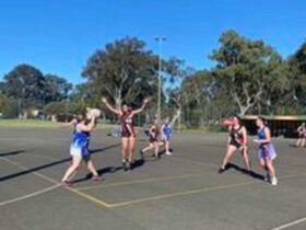 Millicent netballplayers in red, black and white fighting to gain control of the netball.