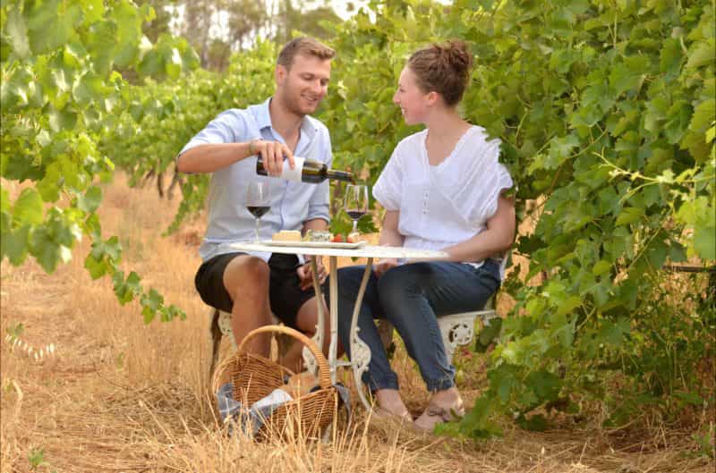 Enjoy a glass of wine in the vineyard