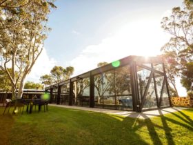 A black colourbond built winery with large windows in the adelaide hills