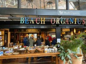 Beach Organics Cafe Plant 4 Bowden