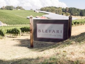 Blefari Wines