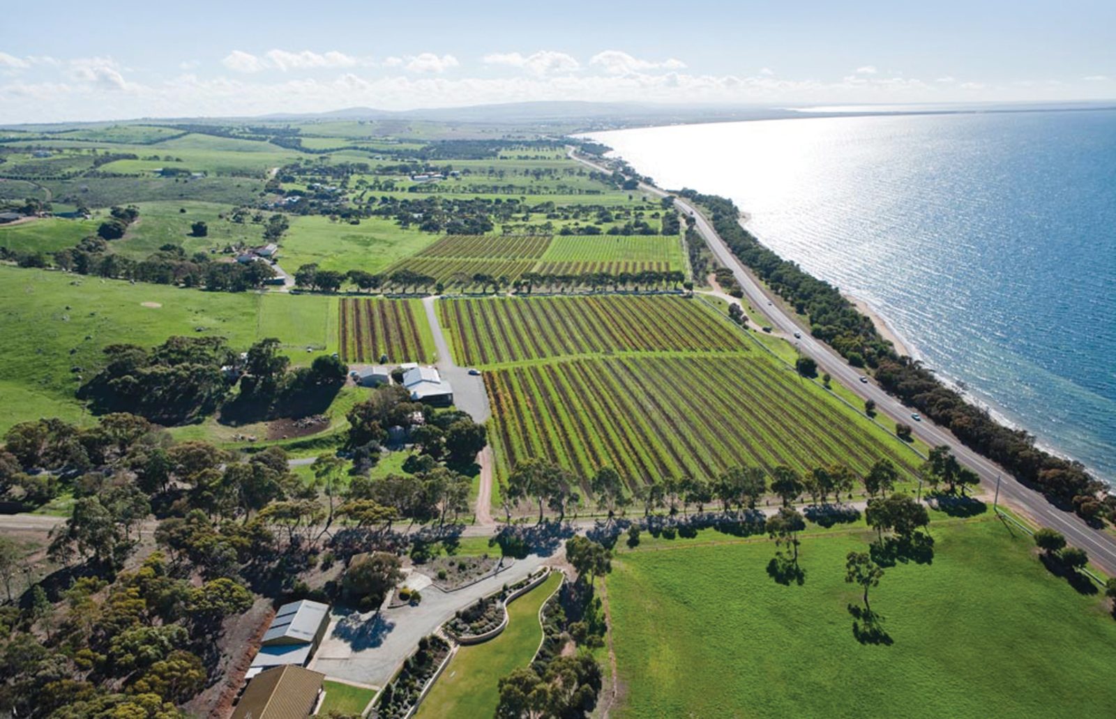 Boston Bay Wines Aerial Photograph Port Lincoln Cellar Door and Function Centre
