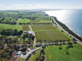 Boston Bay Wines Aerial Photograph Port Lincoln Cellar Door and Function Centre