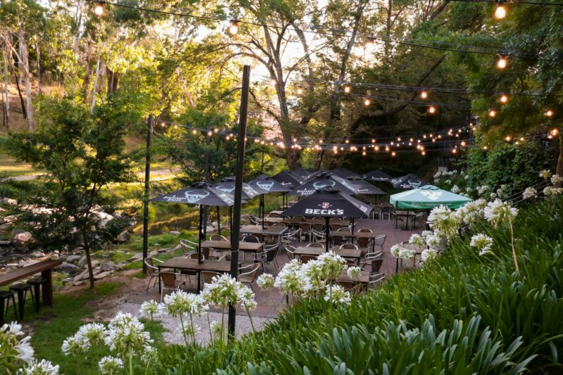 Lower beer garden under fairy lights and agapanthus in full bloom