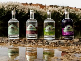 Four Flinders Gin varieties with reflection in water