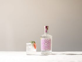 Bottle of Happenstance Signature Gin with a Gin & Tonic, garnished with strawberry and rosemary