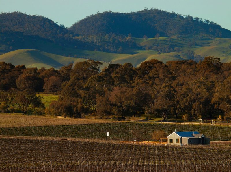 Our cellar Door is nestled amongst 14 acres of our estate certified organic vineyard.