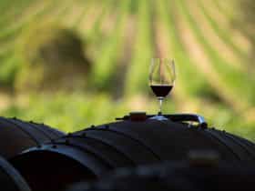 A nice glass of red straight from barrel