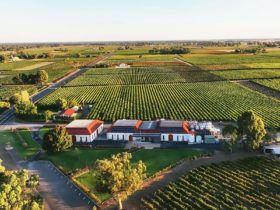 Leconfield Coonawarra Winery and Vineyards