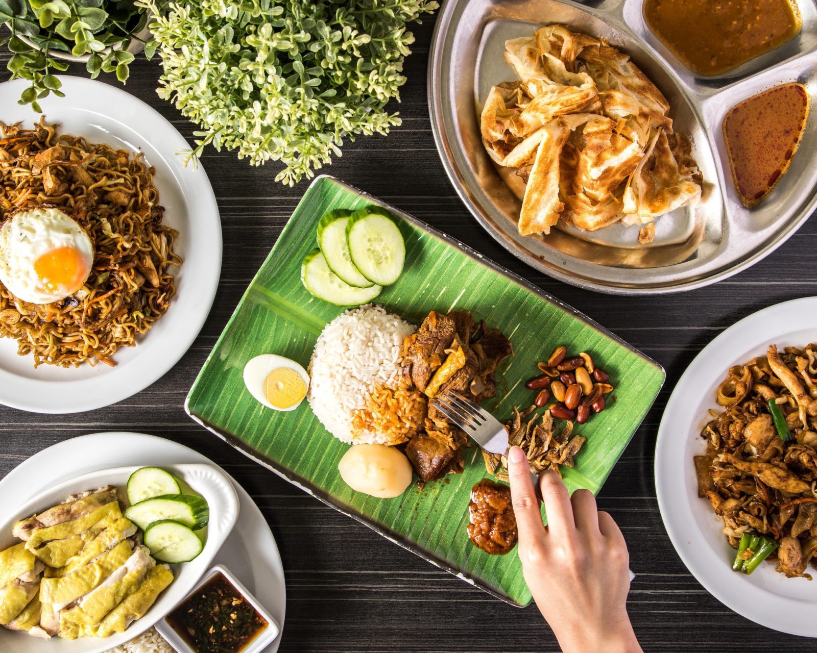 Picture of our Nasi Lemak, Maggi Goreng, Hainan Chicken rice and roti